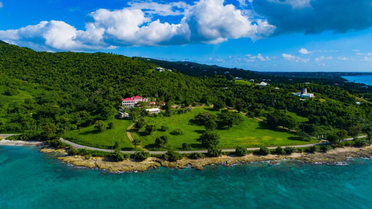 Feather Leaf Inn Frederiksted Bagian luar foto