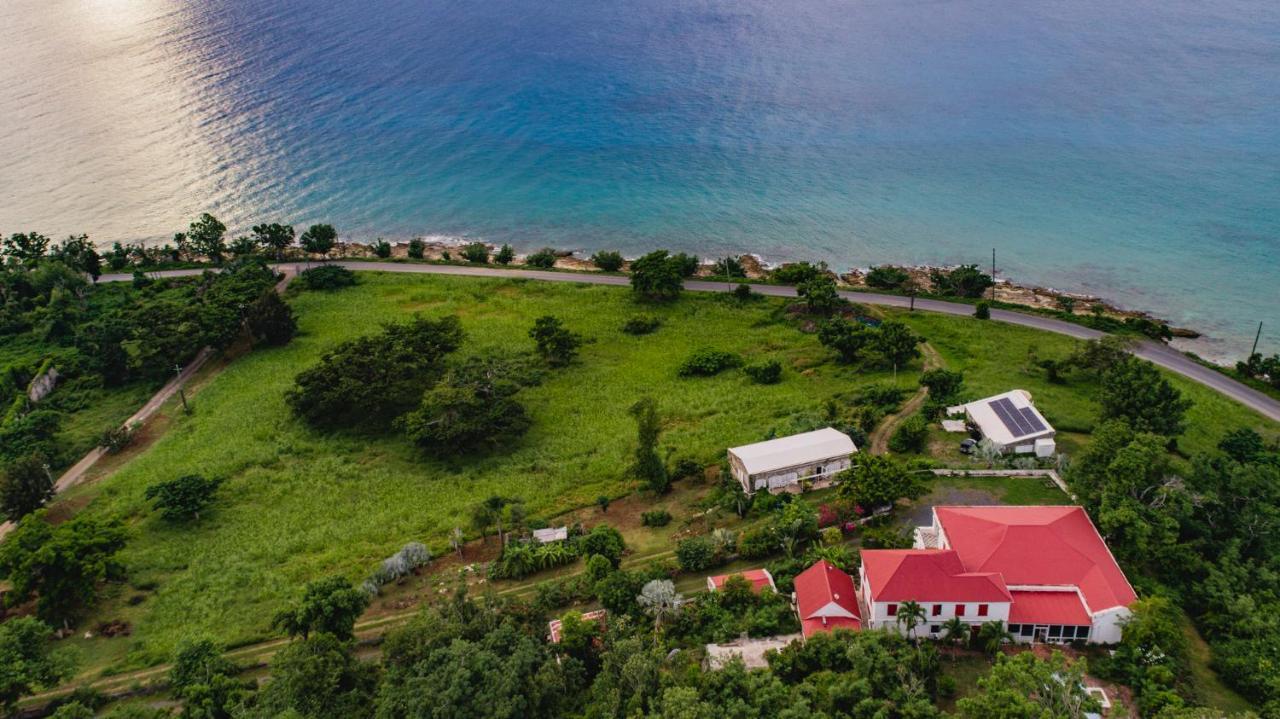 Feather Leaf Inn Frederiksted Bagian luar foto